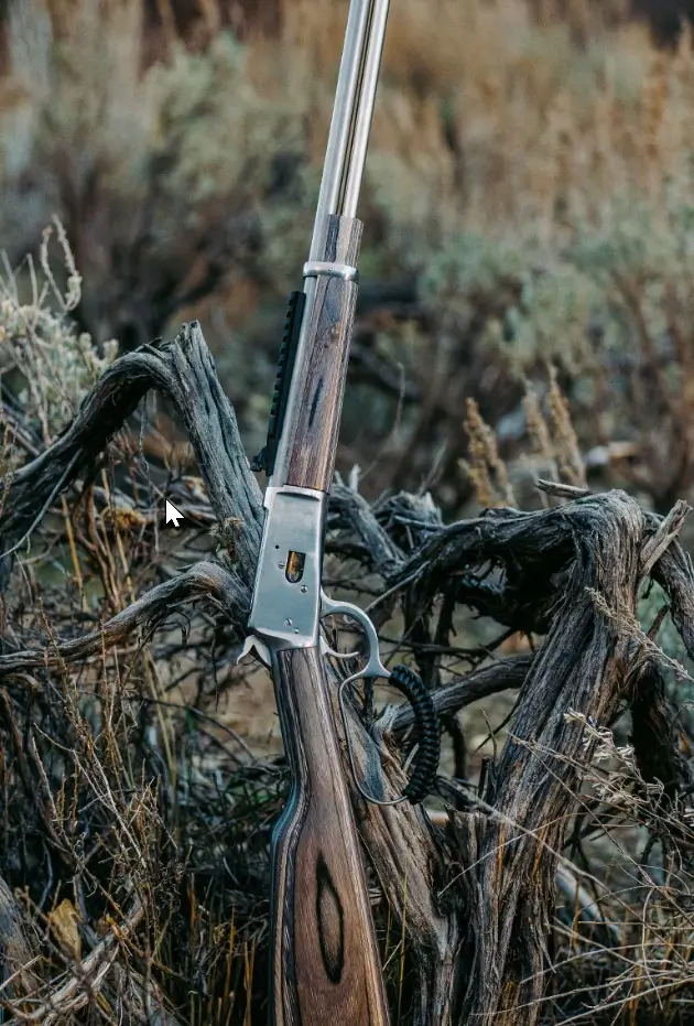 Lever Action Rifles | Rossi USA